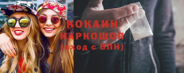 таблы Гусев