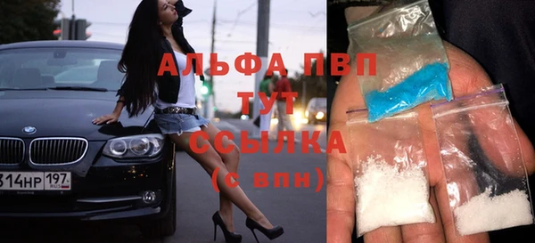 спиды Щигры