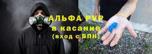спиды Щигры