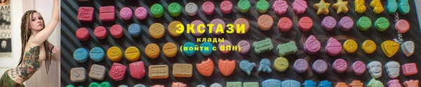 индика Дмитров