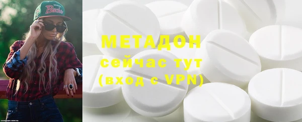 индика Дмитров