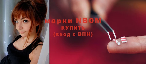 таблы Гусев