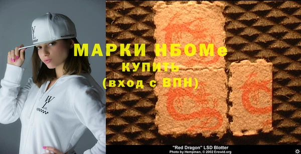индика Дмитров