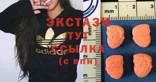 индика Дмитров