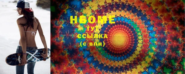 индика Дмитров