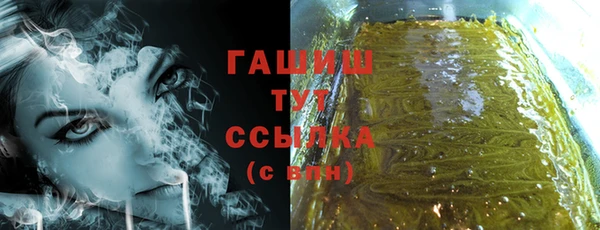 индика Дмитров