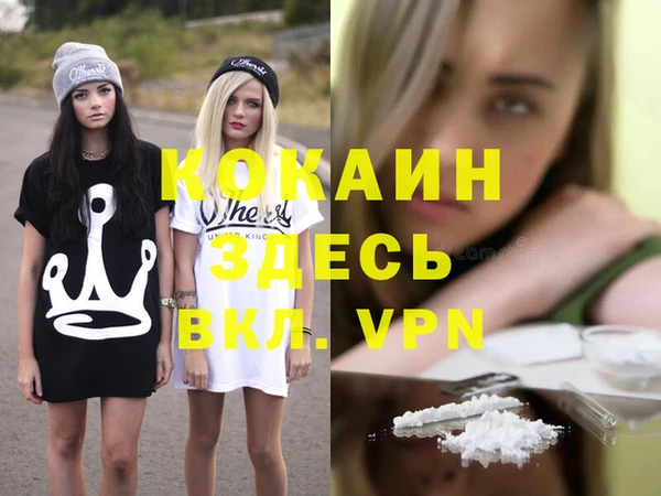 индика Дмитров
