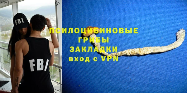 соль курить ск Гусь-Хрустальный
