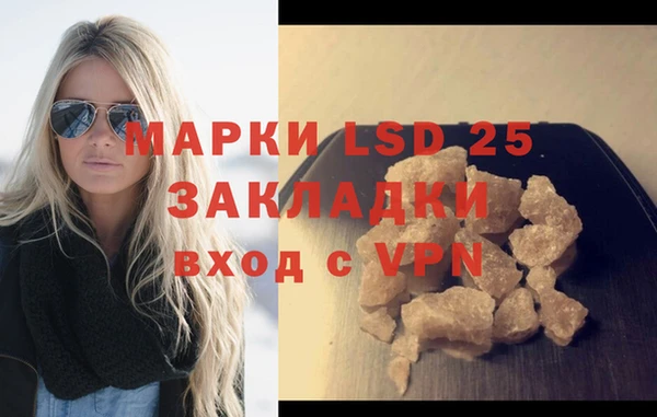 индика Дмитров