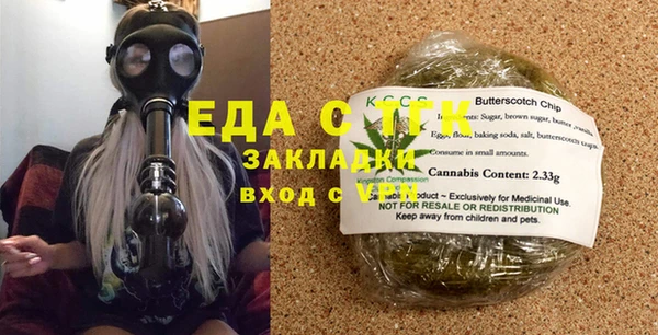 индика Дмитров